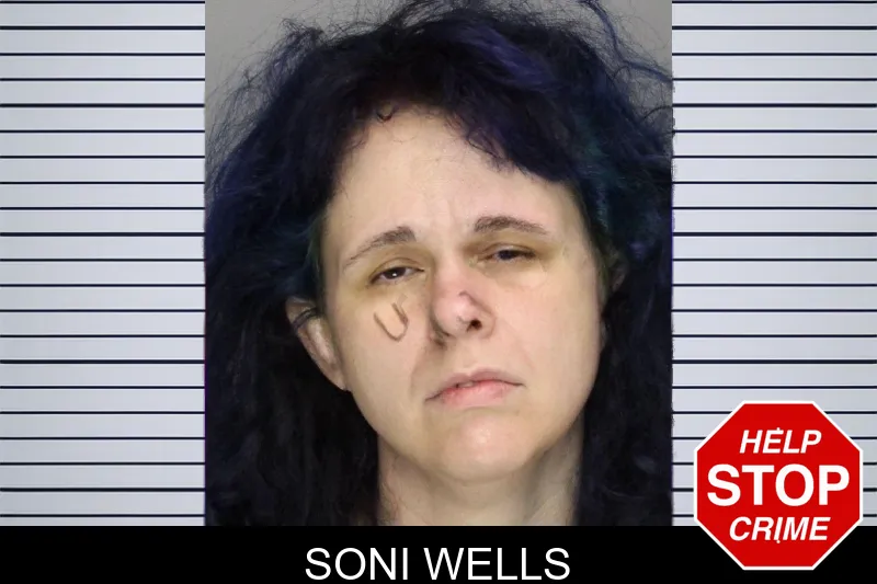 Soni Wells mugshot