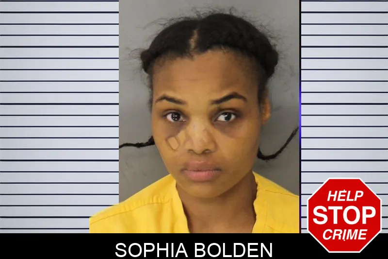 Sophia Bolden mugshot – Cobb County , Georgia Sophia Bolden mugshot