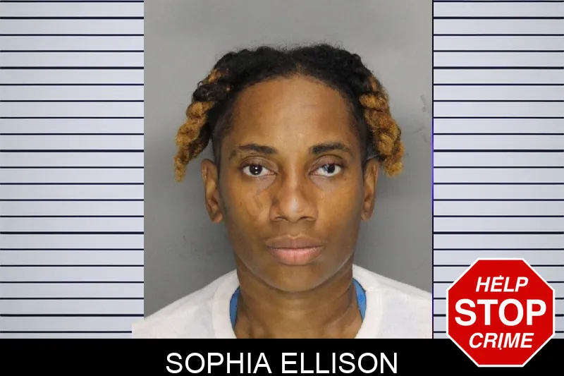 Sophia Ellison mugshot – Cobb County , Georgia Sophia Ellison mugshot