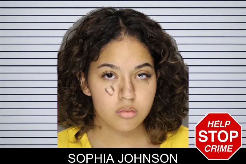 Sophia Johnson mugshot – Cobb County , Georgia Sophia Johnson mugshot