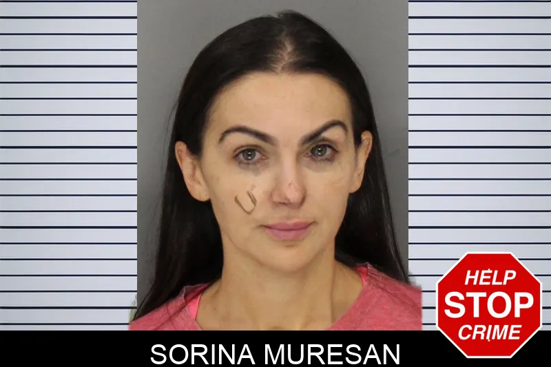 Sorina Muresan mugshot – Cobb County , Georgia Sorina Muresan mugshot