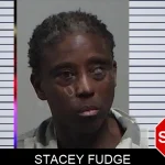 Stacey Fudge mugshot – Tift County , Georgia Stacey Fudge mugshot