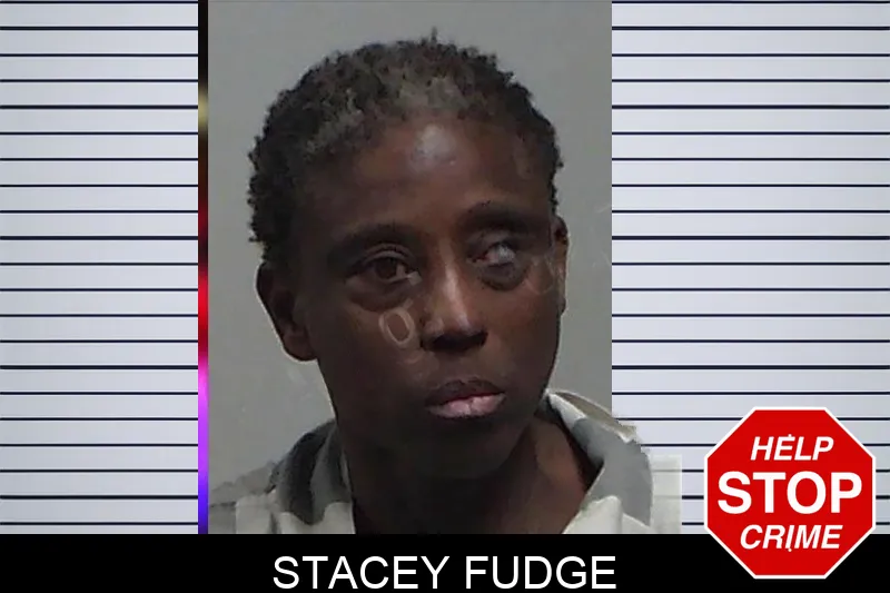 Stacey Fudge mugshot – Tift County , Georgia Stacey Fudge mugshot