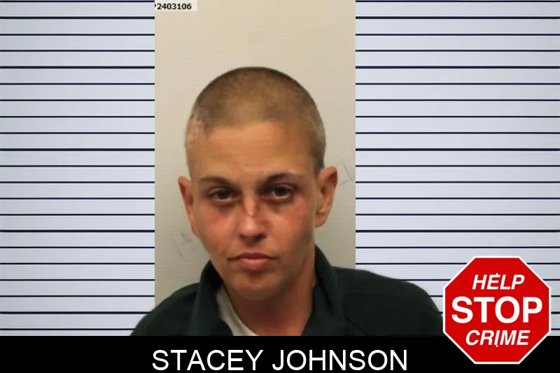 Stacey Johnson mugshot