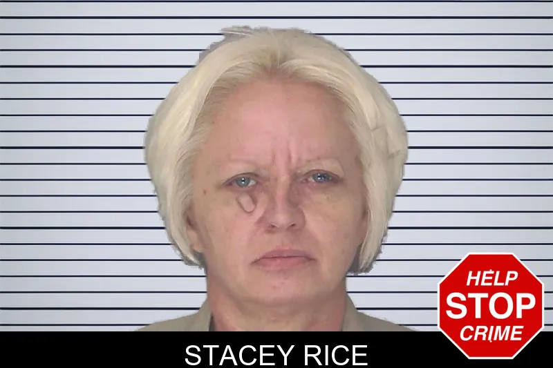 Stacey Rice mugshot – Douglas County , Georgia Stacey Rice mugshot