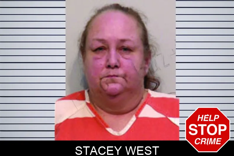 Stacey West mugshot – Bartow County , Georgia Stacey West mugshot