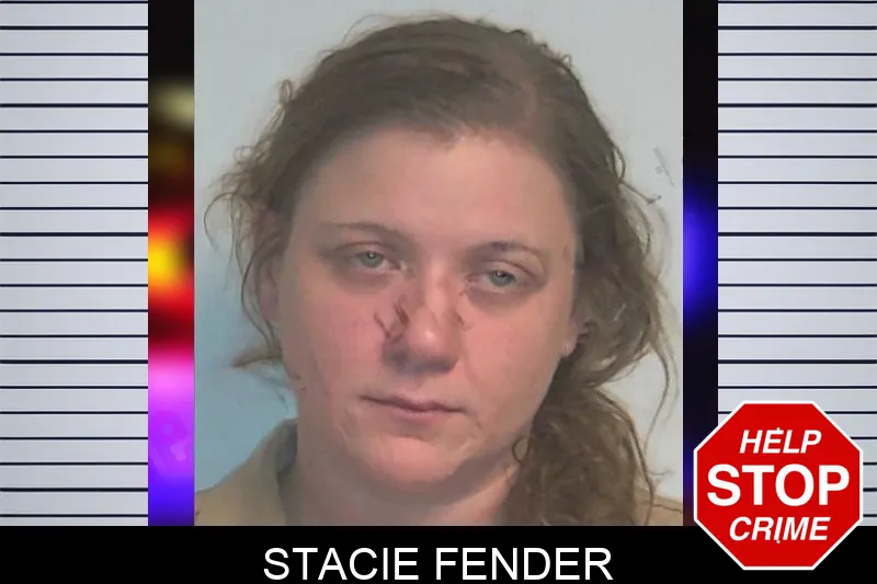 Stacie Fender mugshot – Berrien County , Georgia Stacie Fender mugshot