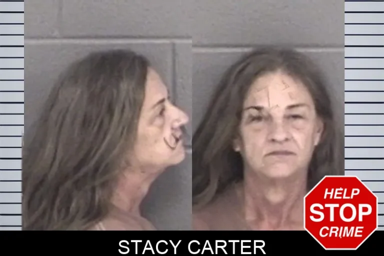 Stacy Carter