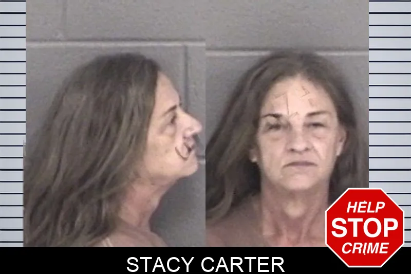 Stacy Carter mugshot – Barrow County , Georgia Stacy Carter mugshot