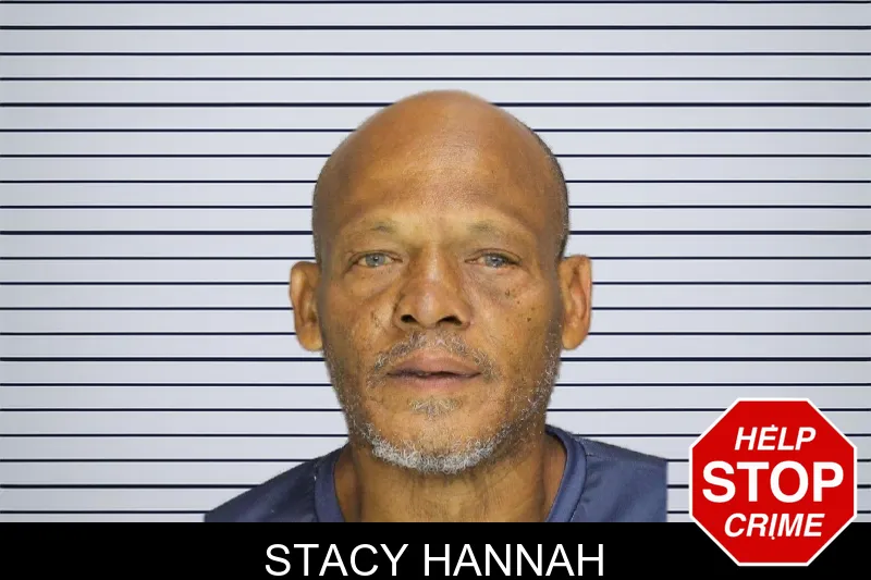 Stacy Hannah mugshot – Cobb County , Georgia Stacy Hannah mugshot