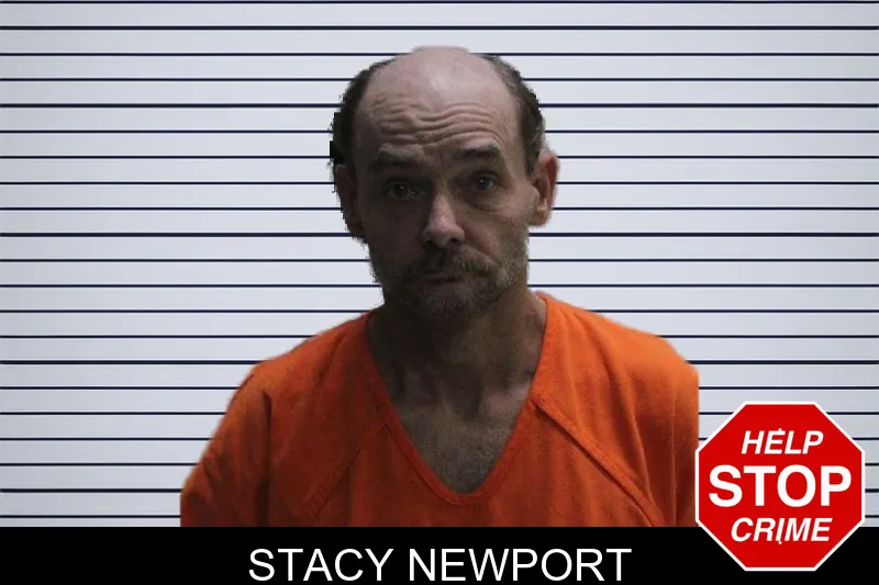 Stacy Newport mugshot – Murray County , Georgia Stacy Newport mugshot