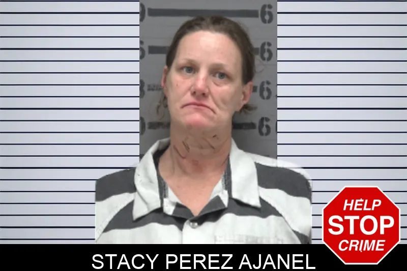 Stacy Perez Ajanel mugshot
