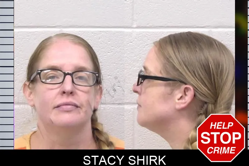 Stacy Shirk mugshot – Paulding County , Georgia Stacy Shirk mugshot