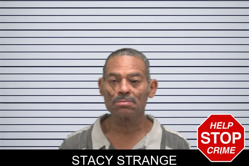 Stacy Strange mugshot – Dougherty County , Georgia Stacy Strange mugshot