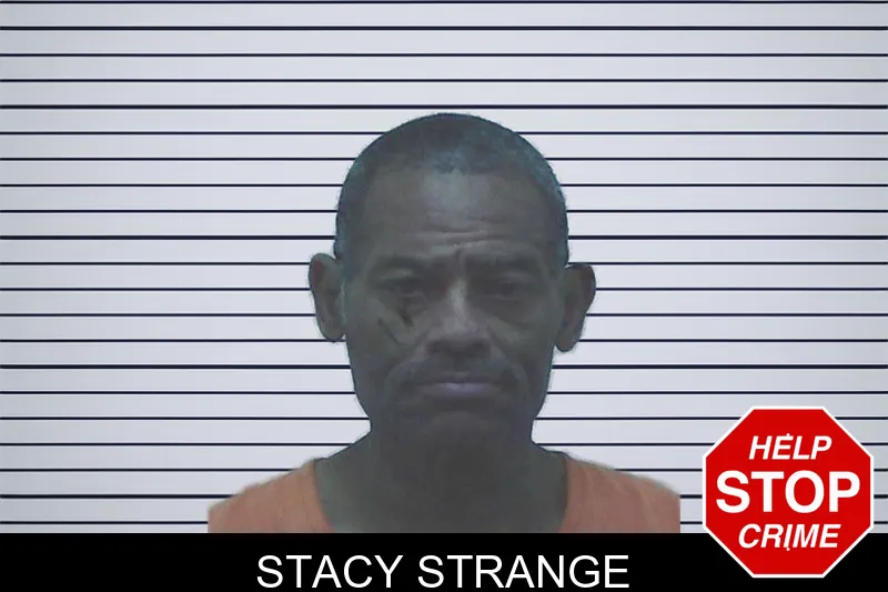 Stacy Strange mugshot – Worth County , Georgia Stacy Strange mugshot