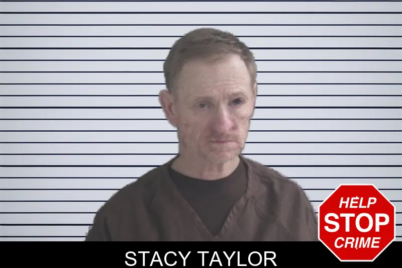 Stacy Taylor mugshot – Brantley County , Georgia Stacy Taylor mugshot