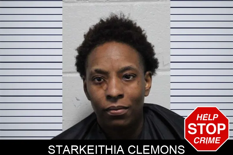 Starkeithia Clemons mugshot – Habersham County , Georgia Starkeithia Clemons mugshot