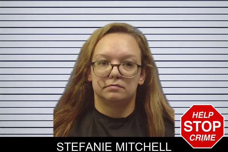 Stefanie Mitchell mugshot – Chattooga County , Georgia Stefanie Mitchell mugshot