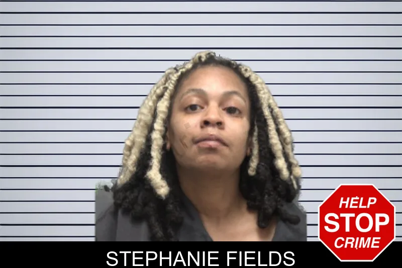 Stephanie Fields mugshot – Dougherty County , Georgia Stephanie Fields mugshot