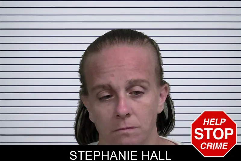Stephanie Hall mugshot
