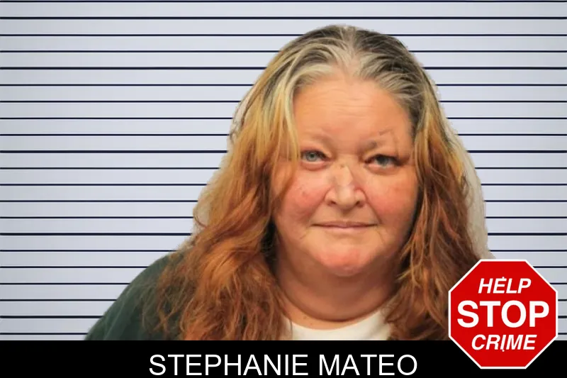 Stephanie Mateo mugshot – Chatham County , Georgia Stephanie Mateo mugshot