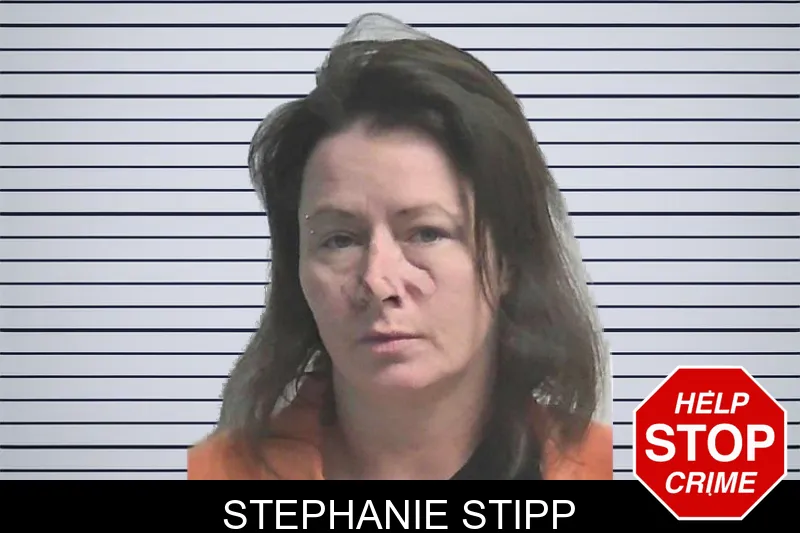 Stephanie Stipp mugshot – Colquitt County , Georgia Stephanie Stipp mugshot