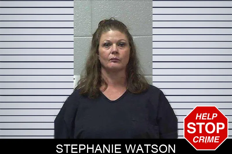 Stephanie Watson mugshot – Gilmer County , Georgia Stephanie Watson mugshot
