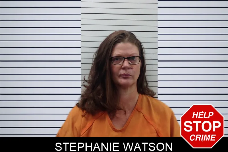Stephanie Watson mugshot – Pickens County , Georgia Stephanie Watson mugshot