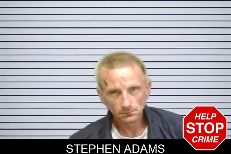 Stephen Adams mugshot