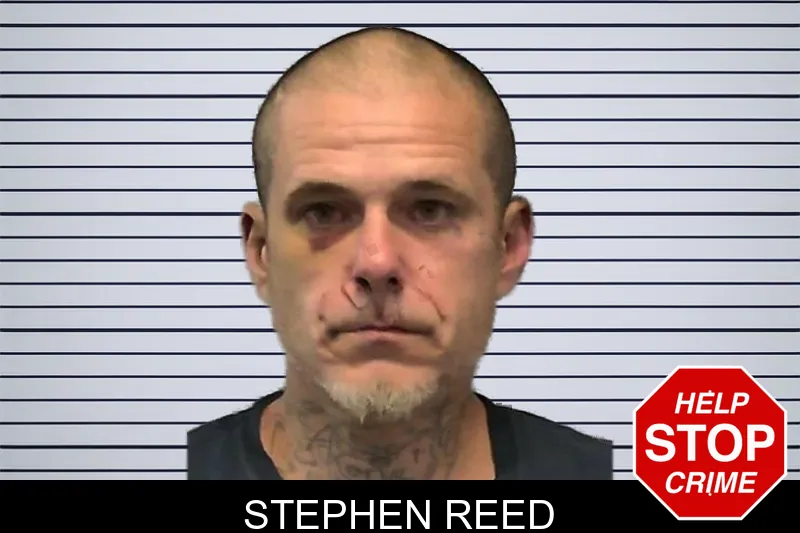 Stephen Reed mugshot
