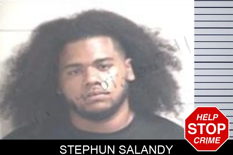 Stephun Salandy mugshot