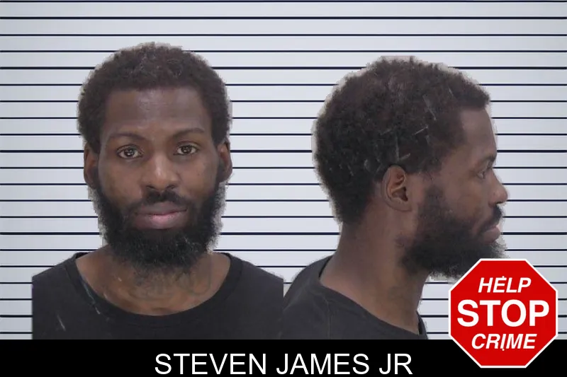 Steven James Jr mugshot