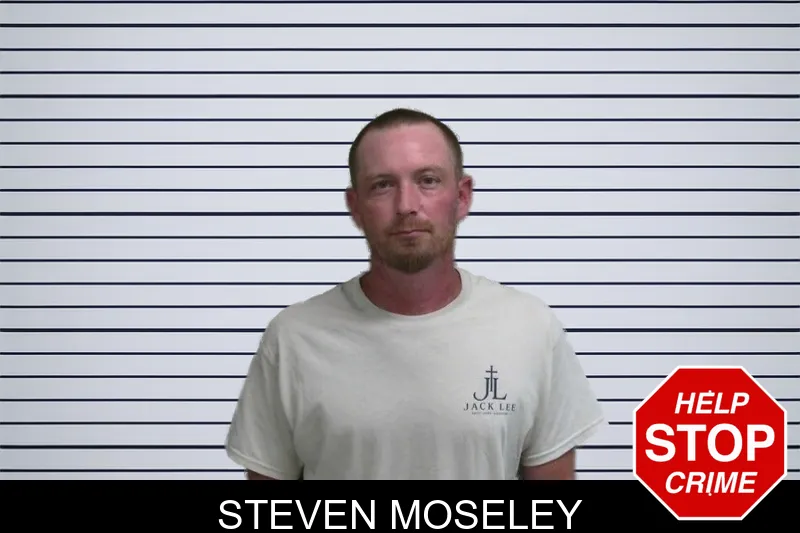 Steven Moseley mugshot – Wayne County , Georgia Steven Moseley mugshot