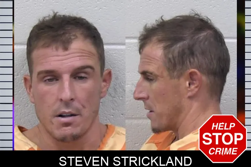 Steven Strickland mugshot – Paulding County , Georgia Steven Strickland mugshot