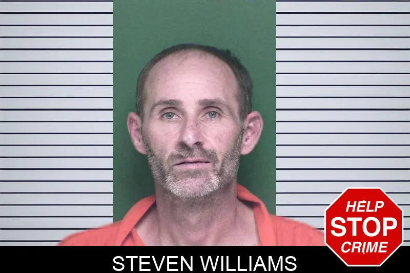 Steven Williams mugshot – Appling County , Georgia Steven Williams mugshot