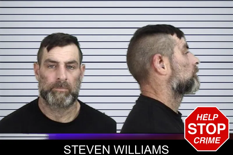Steven Williams mugshot – Camden County , Georgia Steven Williams mugshot