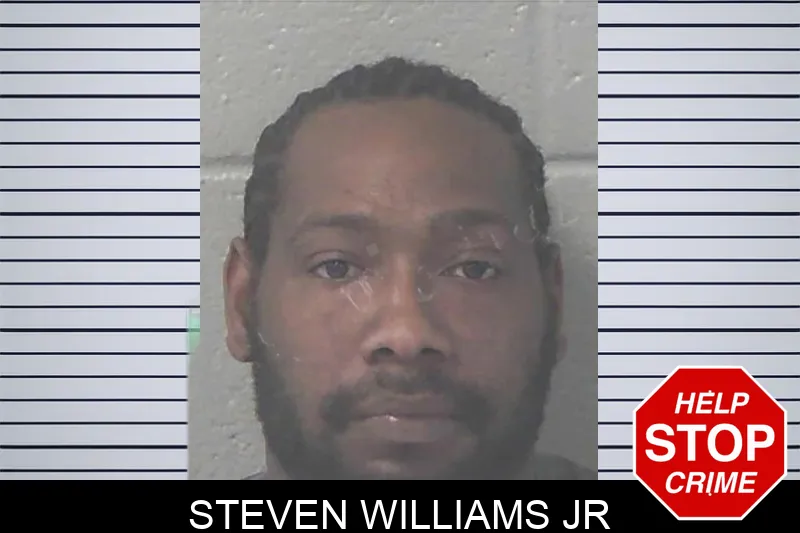 Steven Williams Jr mugshot
