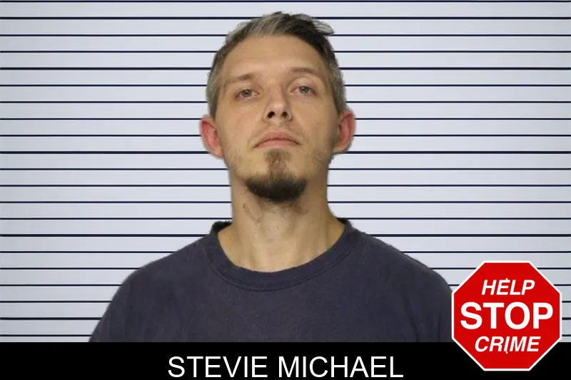 Stevie Michael mugshot