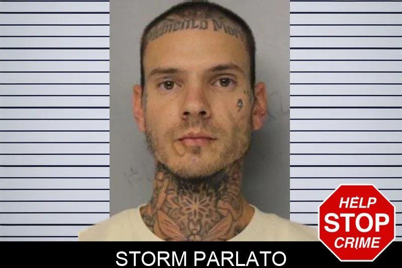 Storm Parlato mugshot – Hall County , Georgia Storm Parlato mugshot
