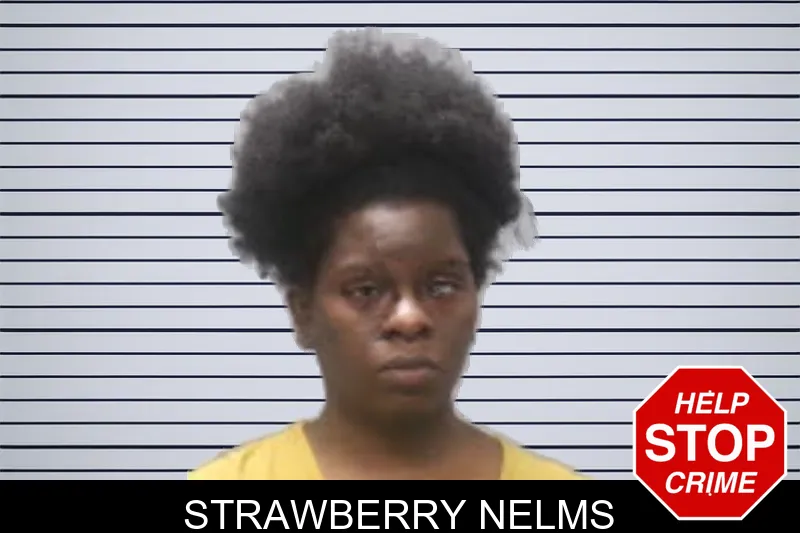 Strawberry Nelms mugshot – Muscogee County , Georgia Strawberry Nelms mugshot