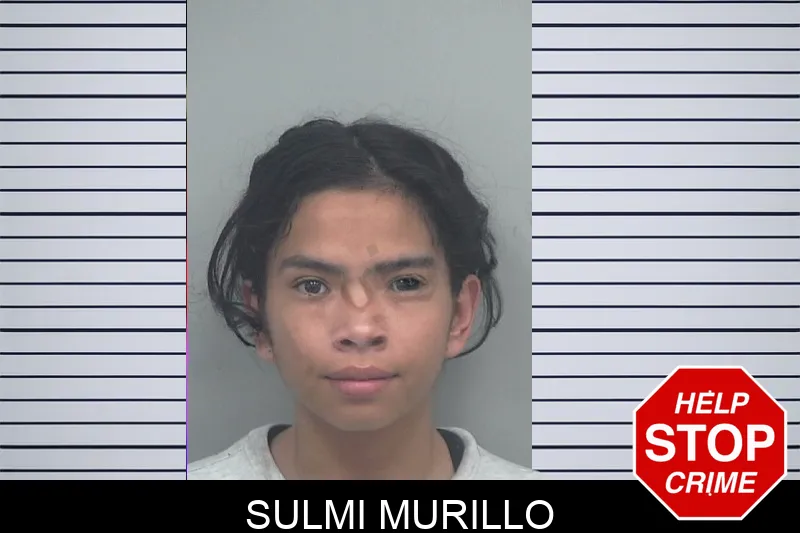 Sulmi Murillo mugshot – Gwinnett County , Georgia Sulmi Murillo mugshot