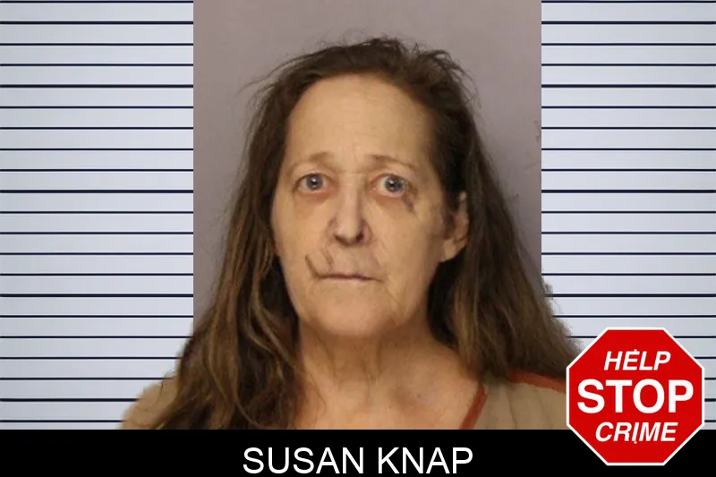 Susan Knap mugshot – Hall County , Georgia Susan Knap mugshot