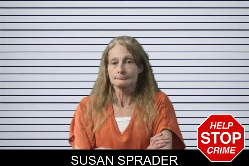 Susan Sprader mugshot – Lumpkin County , Georgia Susan Sprader mugshot