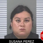 Susana Perez mugshot