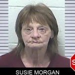 Susie Morgan mugshot – Dawson County , Georgia Susie Morgan mugshot