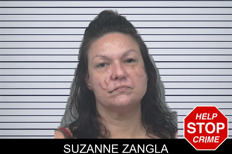 Suzanne Zangla mugshot – Gwinnett County , Georgia Suzanne Zangla mugshot