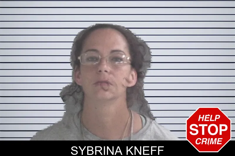 Sybrina Kneff mugshot – Brantley County , Georgia Sybrina Kneff mugshot