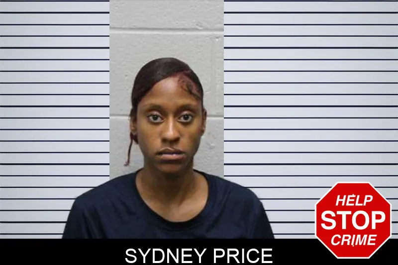 Sydney Price mugshot – Harris County , Georgia Sydney Price mugshot