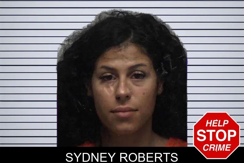 Sydney Roberts mugshot – Laurens County , Georgia Sydney Roberts mugshot