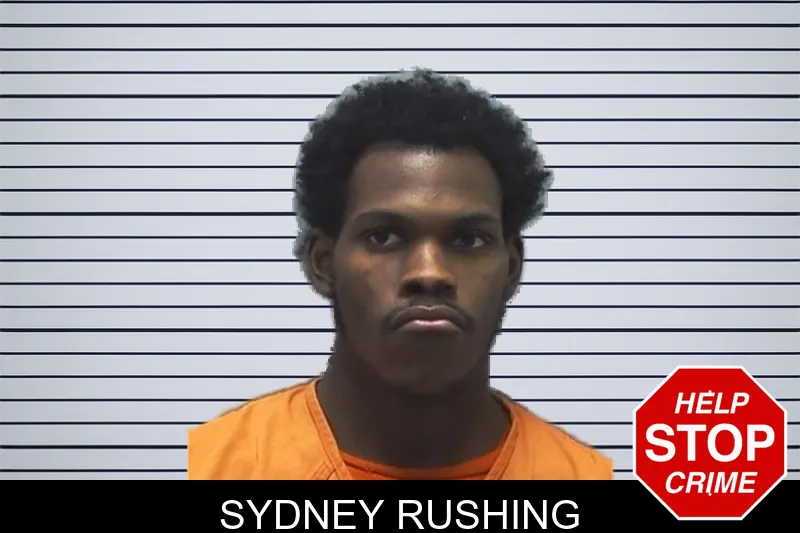 Sydney Rushing mugshot – Cherokee County , Georgia Sydney Rushing mugshot